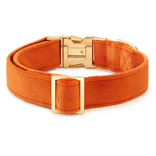 Pumpkin Velvet Dog Collar The Foggy Dog
