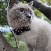 Mokka - Floral Bowtie Cat Collar Cheerhunting