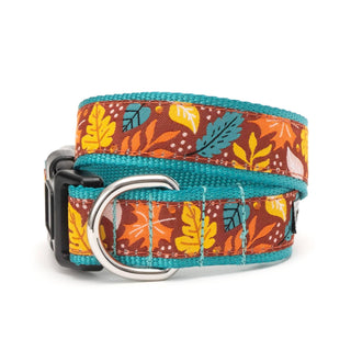Falling Leaves dog collar with burgundy strap, turquoise edging, autumn leaf pattern, small