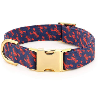Catch of the Day Summer Dog Collar The Foggy Dog