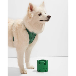 Tennis Tumble Interactive Dog Toy Wild One