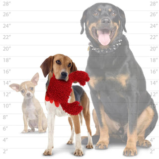 Mighty Microfiber Crab Dog Toy, medium red plush squeaky toy