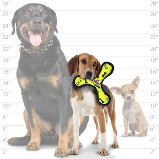 Tuffy Jr Boomerang - Yellow Bone, Durable, Squeaky Dog Toy Tuffy Dog Toys - VIP Products