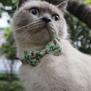Mokka - Floral Bowtie Cat Collar Cheerhunting