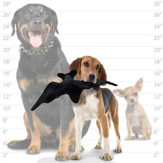 Tuffy Desert Bat dog toy; durable, squeaky black bat.