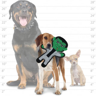 Frankenstein dog toy, green plush squeaky toy with multiple squeakers