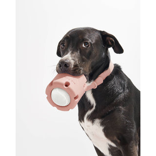 Tennis Tumble Interactive Dog Toy Wild One