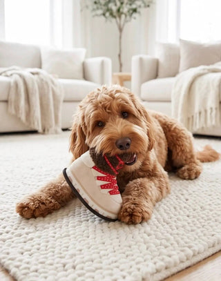 Apres Ski Boot dog toy, white boot with red laces being chewed by a brown dog indoors