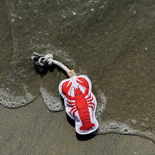 Lobster rope dog toy with red lobster graphic on white fabric and gray twisted rope