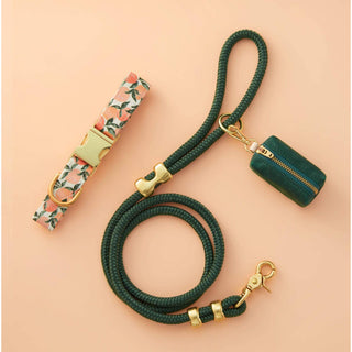 Peaches and Cream dog collar and leash set with peach floral strap, gold hardware, and dark green rope
