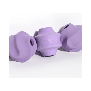 Twist Toss Treat Dispensing Dog Toy Wild One