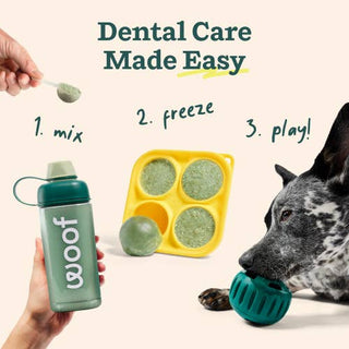 Pupsicle Mix Doggy Dental 3-item kit: green bottle, yellow ice mold tray, and green dog chew toy.