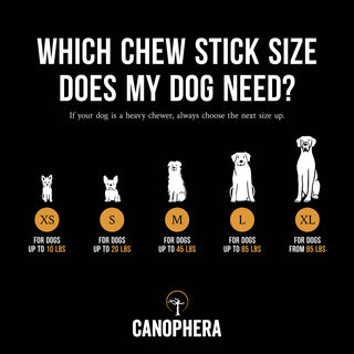 Dog Chew Stick made of coffee wood with five dog-size options XS–XL shown on a size chart