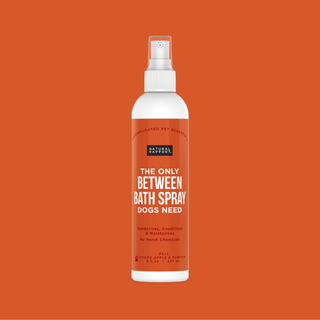 The Only Between Bath Spray for Dogs Need bottle in orange with Apple & Pumpkin scent
