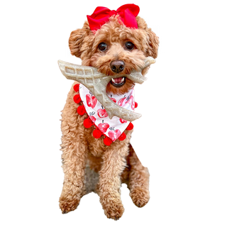 Hard Chew Nylon Antlers - Made in the USA Spunky Pup