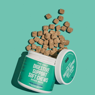 Digestive support soft chews for dogs in teal jar with dozens of brown cube treats spilling out