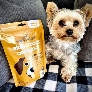 Dog omega-3 skin & coat soft chews in orange pouch, grain and soy-free