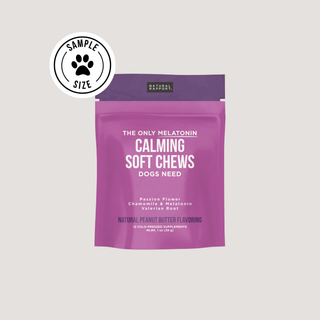 The Only Melatonin Calming Soft Chews Dogs Need Natural Rapport 12 count pouch