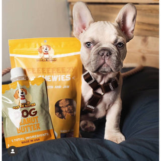 Cheezy Soft Chewy Dog Treats  Dilly's™ Poochie Butter   
