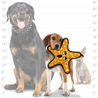Tuffy Ocean Starfish, Durable, Tough, Squeaky Dog Toy Tuffy Dog Toys - VIP Products