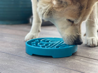 Baja Design eTray Shallow Slow Feeder Bowl for Dogs SodaPup Dog Toys