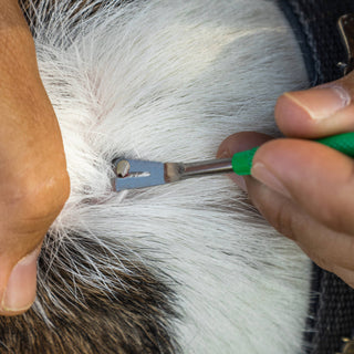 TickCheck Premium Tick Remover Kit - 3pc TickCheck