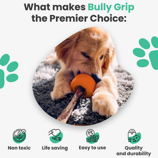 Classic Medium dog chew toy with orange ring on a wooden stick