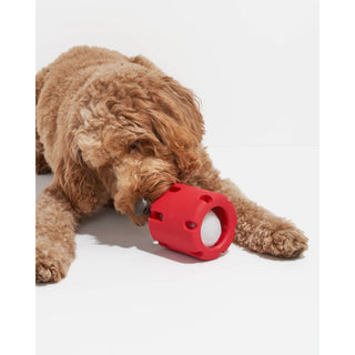 Tennis Tumble Interactive Dog Toy Wild One