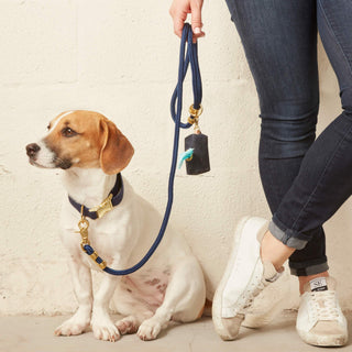 Ocean Dog Collar The Foggy Dog