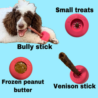 Classic small bully stick assortment for dogs: pink chews, venison stick, frozen peanut butter; dog chewing.