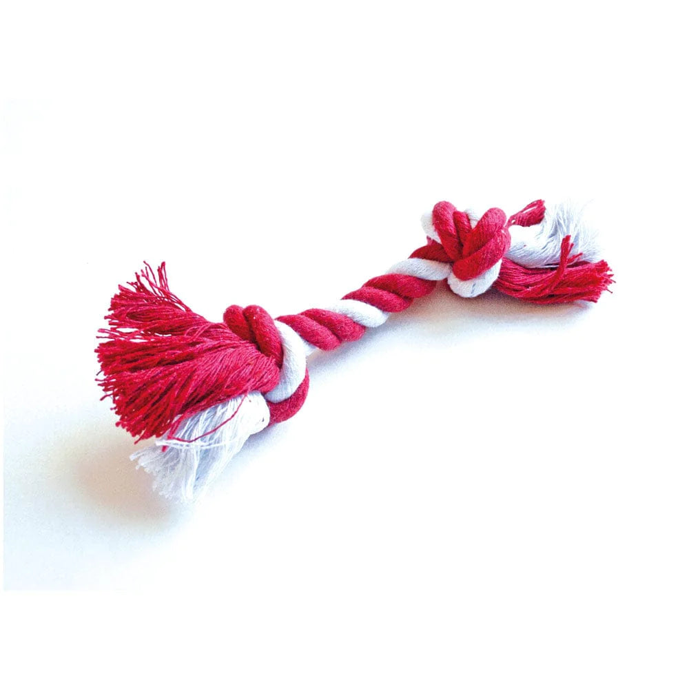 Christmas Cracker - Christmas Mischief Dog - Individual Pet Favor  Caspari   