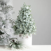 Snowflake Print Container  Sullivans   
