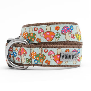 Mushrooms Collar for dogs with light blue mushroom-print strap, brown trim, silver buckle