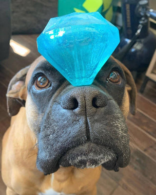 Squeaky Gems! - Diamond and Heart Squeakers Spunky Pup