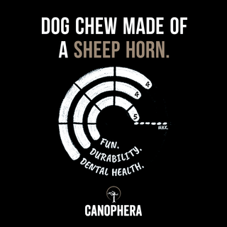 Dog chew made of sheep horn, Dapper line with circular logo on black background.