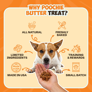 Peanut Butter & Honey Soft & Chewy Dog Treats 8oz, natural ingredients, USA-made