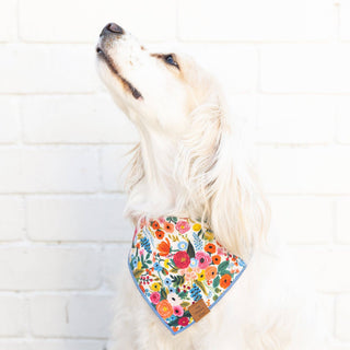 Garden Party Dog Bandana with floral print and blue trim