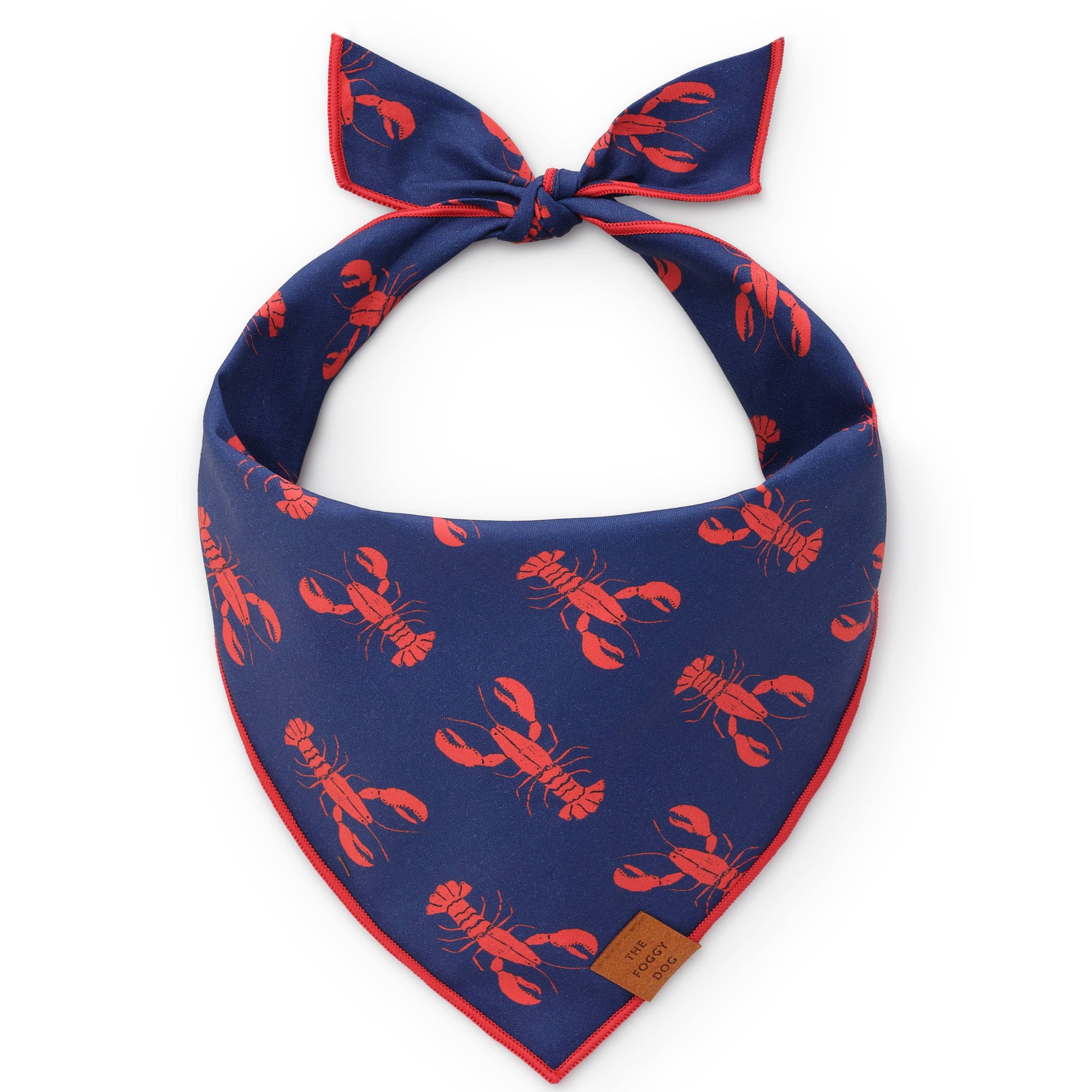 Catch of the Day Summer Dog Bandana The Foggy Dog Medium
