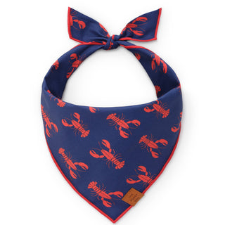 Catch of the Day Summer Dog Bandana The Foggy Dog Medium