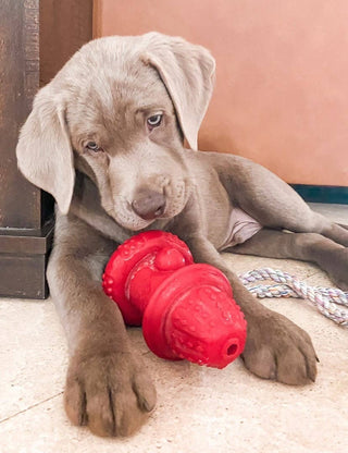 Double Wall Hydrant - Made in the USA Spunky Pup