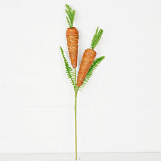 Raffia Wrapped Carrots Spray Impressive Enterprises, Inc.