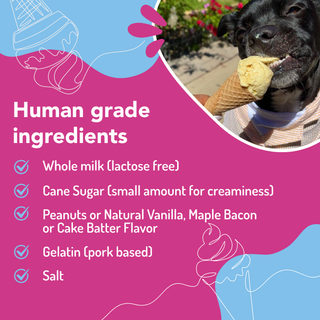 Dapper Puppy Scoops ice cream mix for dogs packaging with magenta background, blue accents, and a dog enjoying a cone.