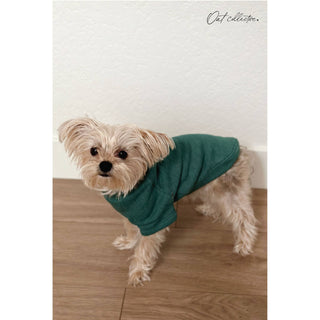 MINI PUMPKIN pet graphic sweatshirt for dogs in teal, worn by a small dog indoors