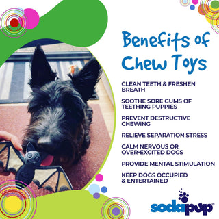 Halloween Bat nylon dog chew toy in black for durable chewers
