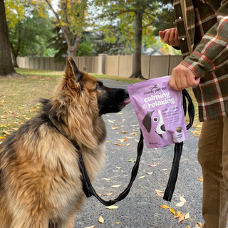 Calming & Relaxing Dog Chews in purple pouch for anxiety relief, held by a person beside a leashed dog