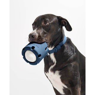 Tennis Tumble Interactive Dog Toy Wild One