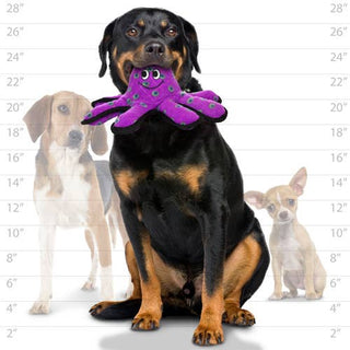 Tuffy Ocean Small Octopus, Durable, Tough, Squeaky Dog Toy Tuffy Dog Toys - VIP Products