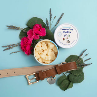 Lavender Fields Pet Wax Melts for Dog Owners 4 oz Eco-Tin Happy Wax