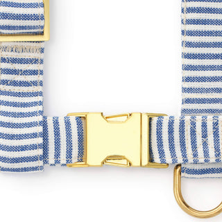 Lake Blue Stripe Harness The Foggy Dog