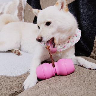 Chewise Bully Stick Holder - Pink Chewise Official